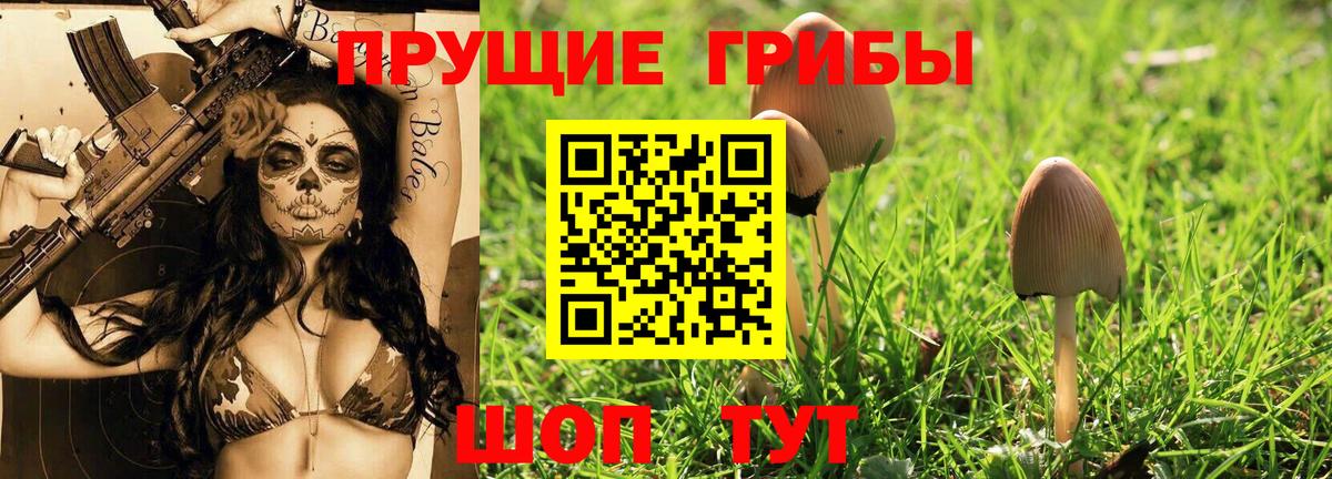 Галлюциногенные грибы прущие грибы Ржев