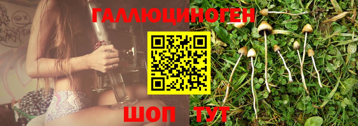 Галлюциногенные грибы мухоморы  Вход с VPN  Ржев 